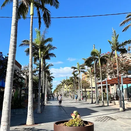 Mirame Canarias Guest house *
