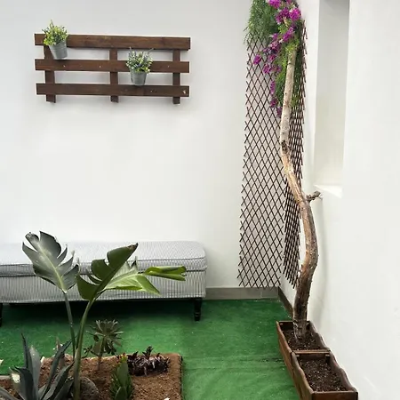 Mirame Canarias Весиндарио