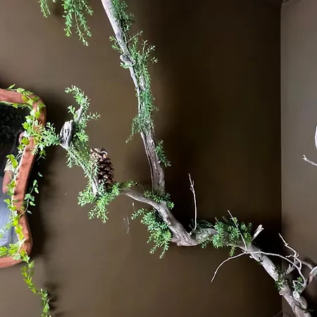 Gæstehus Mirame Canarias